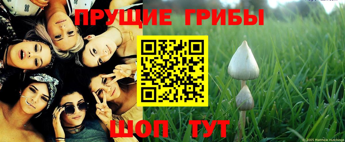 Россия  наркотики  Вход с VPN  Псилоцибиновые грибы прущие грибы 